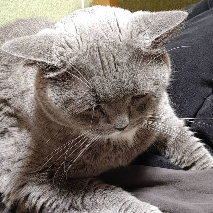 2a78d941 fe6d 43b9 9179 e05f14720e9e 1706349214843