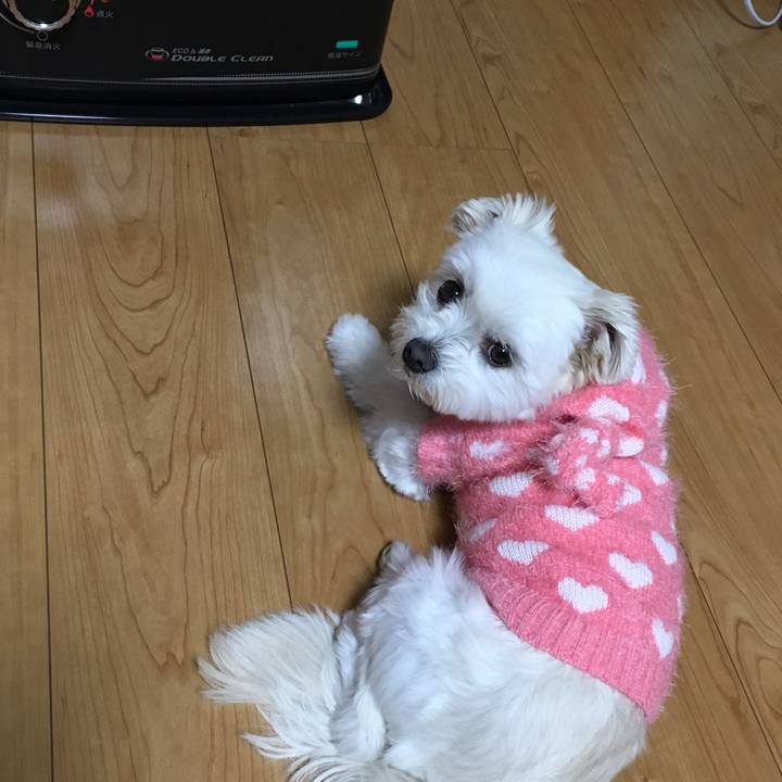 2a792f7d 77b4 498b 8bf7 fe25481c839b 1514621535954