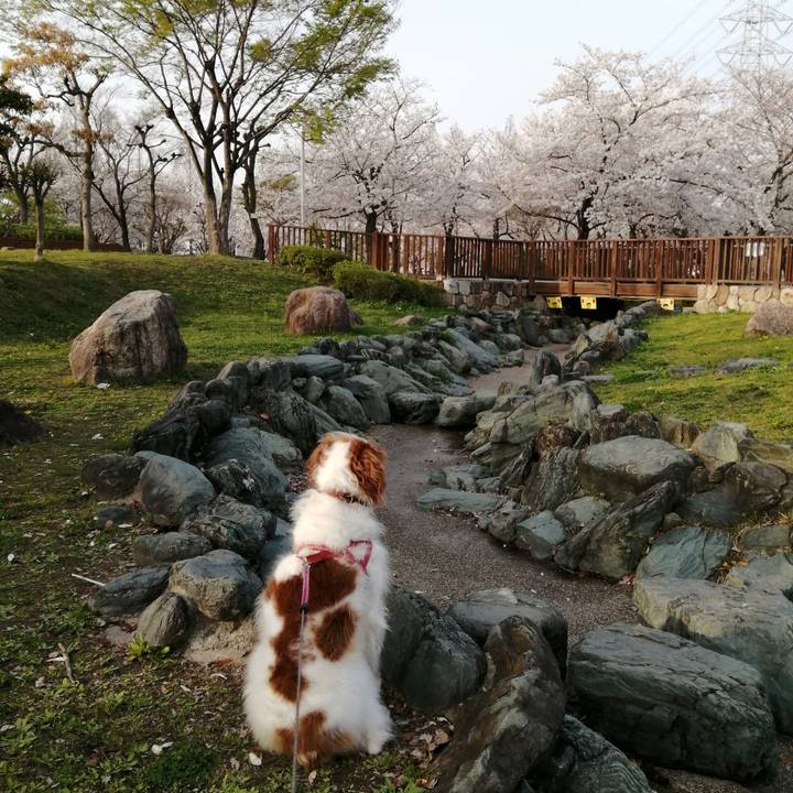 2a79435e 6a77 4e00 a0ed 8b2c21f9620c 1617015597092