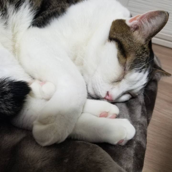 2a799a16 810c 4330 8697 1313a54da598 1603627003742