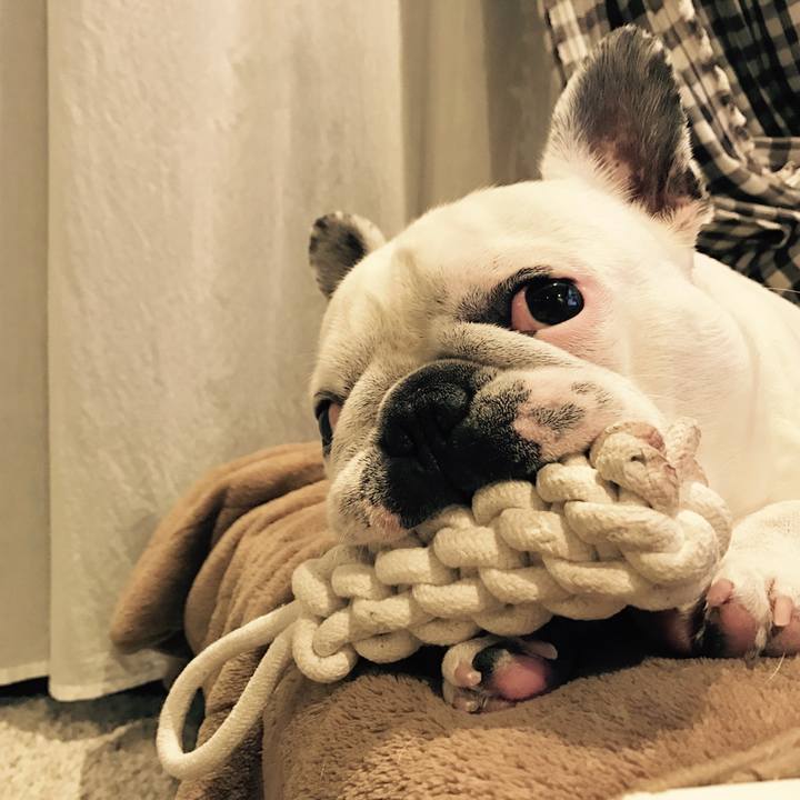 2a799a94 1fc8 4134 9159 eaa0ab01c9b9 1512904422752