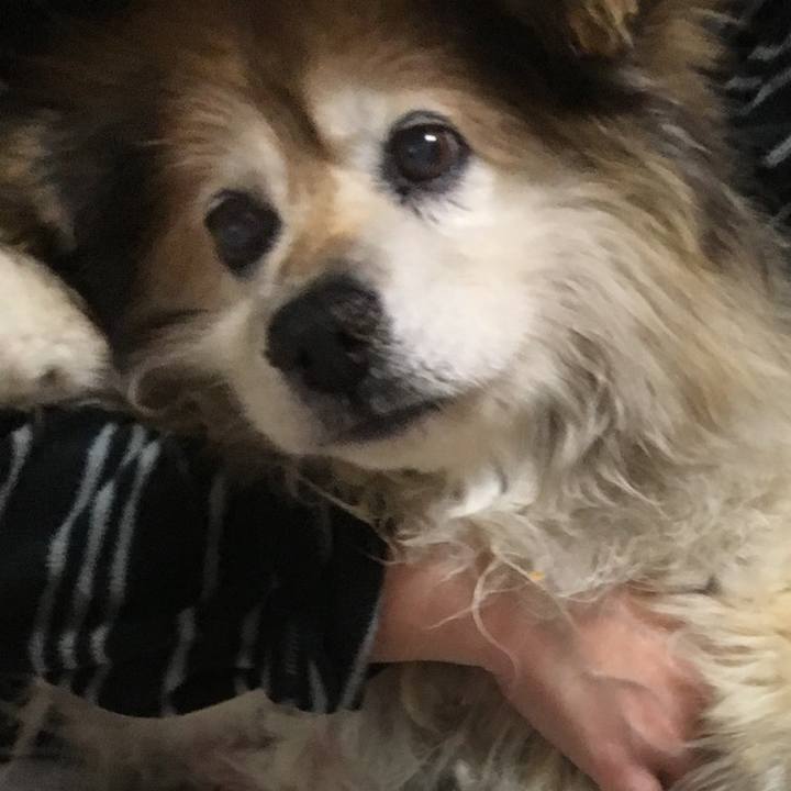 2a79c784 7735 4561 93dd 400aaf4c74f8 1610252666308