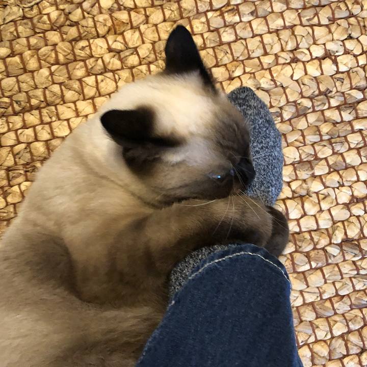 2a79e169 1535 4859 a3b2 98dc3d1a2a1e 1602992820150