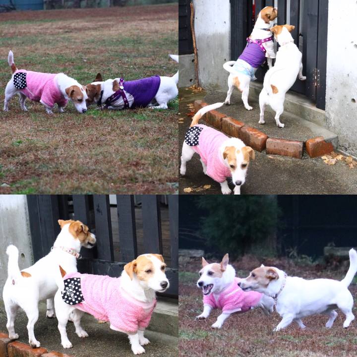 2a7a704c b8d5 4c88 a79a 5ecdb1b70686 1544093516153