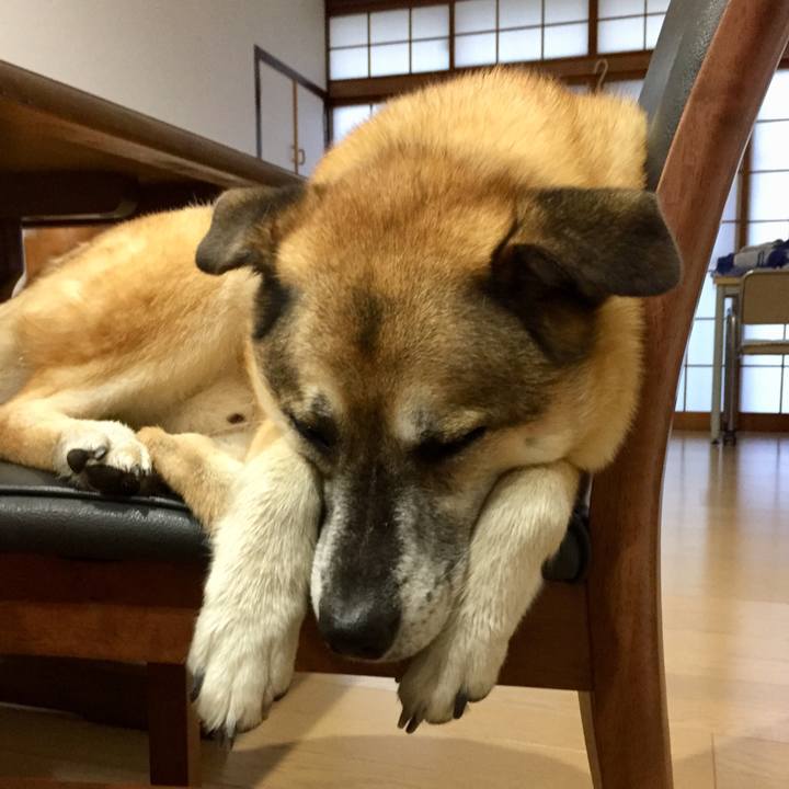 2a7ab78f f7c5 4d6a 8dd4 61f576da3734 1566814651725