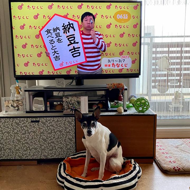 2a7ab8a7 e640 4822 9506 d1d88aea0f5e 1614549869754