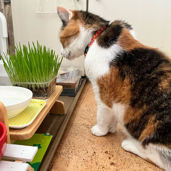 2a7ae70d 39fe 4b86 8c9d 2c34fbc65530 1684545643216