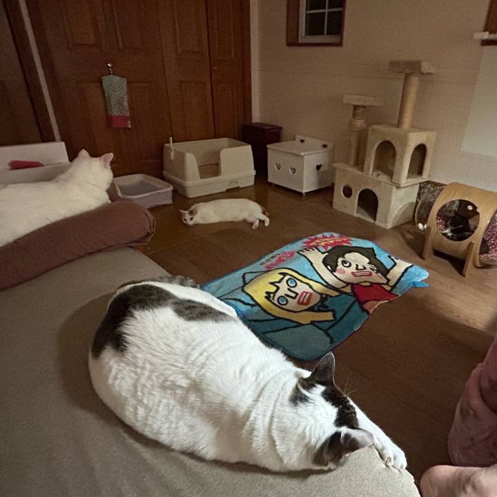 2a7ae8dc e2cb 4d21 9b8b 3bb69d08bc01 1677272691894