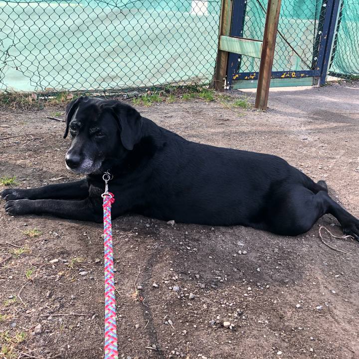 2a7aedb2 bac4 460c babe 2fc9554d2357 1581643274756