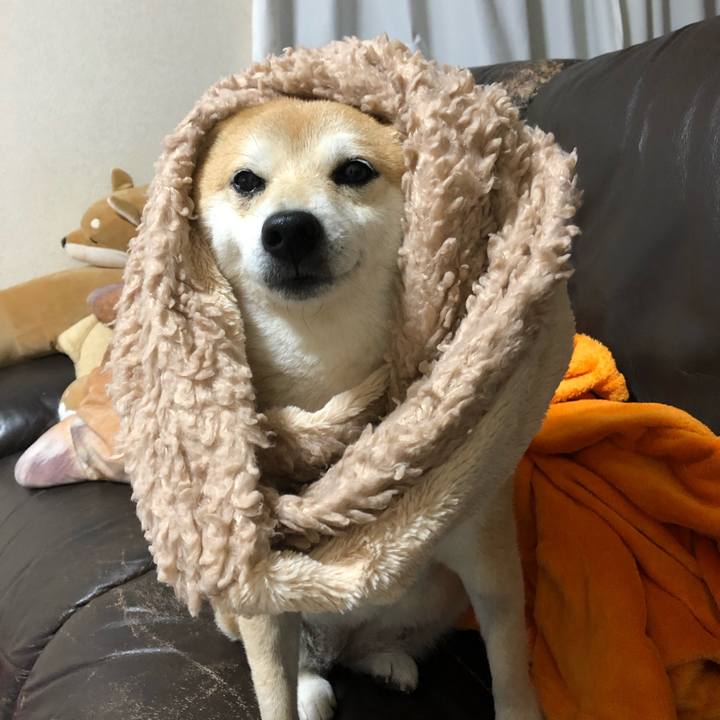 2a7b134c 3a0d 4285 a13a 890443efc992 1550220940887