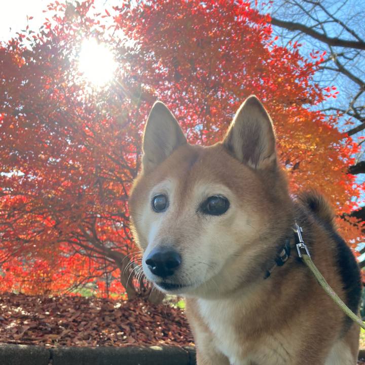 2a7b245a 8675 4e37 8e08 b6e6564b581a 1670997357031