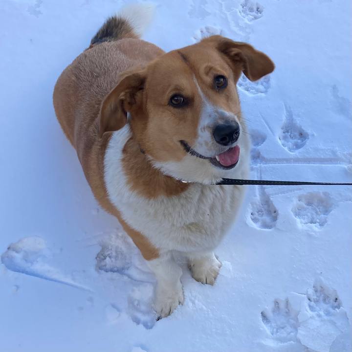 2a7b2a38 3b24 49e3 8ccf f38f79aa604a 1675039432397