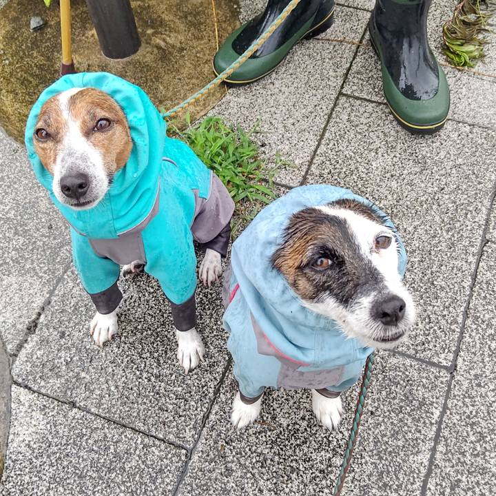 2a7b56b9 5b81 483c 8730 b20189b59ba4 1719786349544