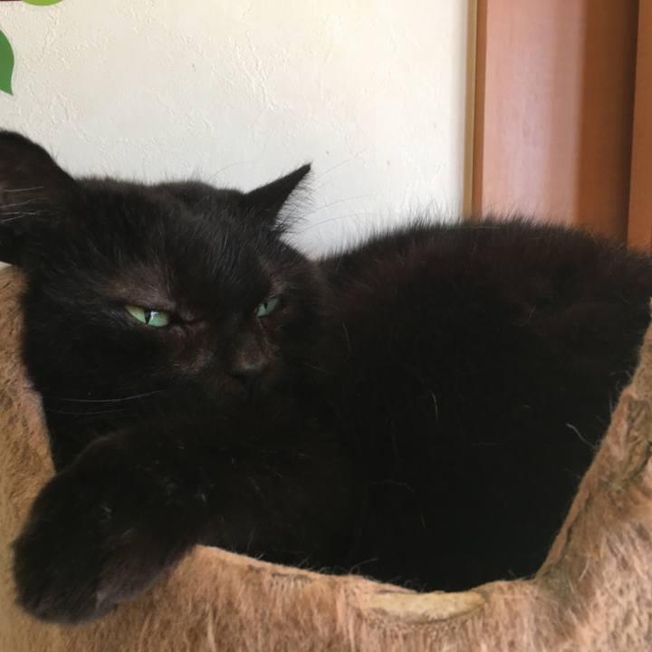 2a7b6e8a c113 4999 86b3 044481e12f7f 1573082426966