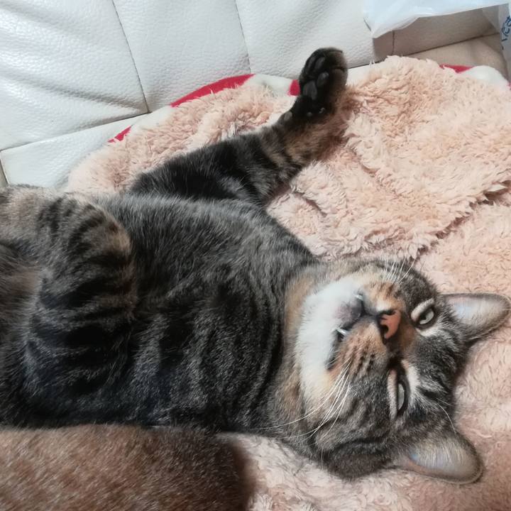 2a7b72bb 9896 420c af4d 71ae66a1706f 1578664861061