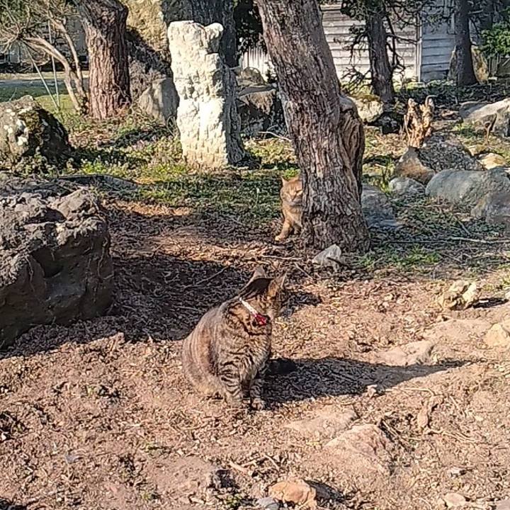 2a7b7c4d 83f0 454d a8ea 0b42baba0af1 1680476634697