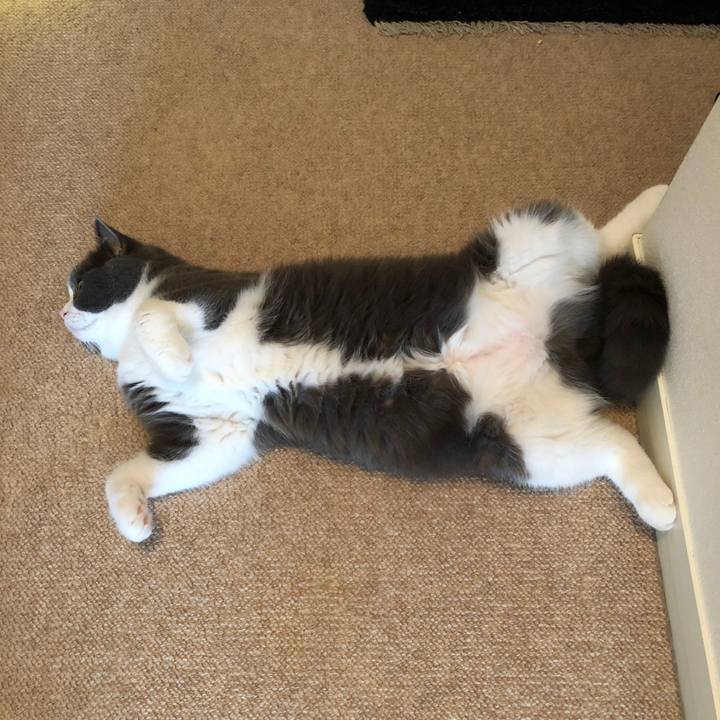 2a7b8439 aabb 446c ab6d 49517e3e6bd1 1539171979412