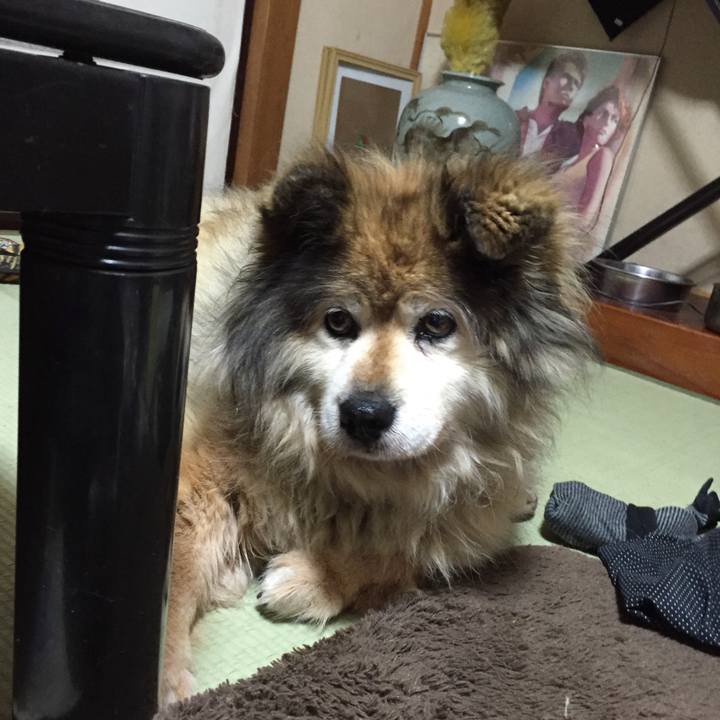 2a7bde0f 4d0f 4542 a3c5 4bda685df011 1548239595973