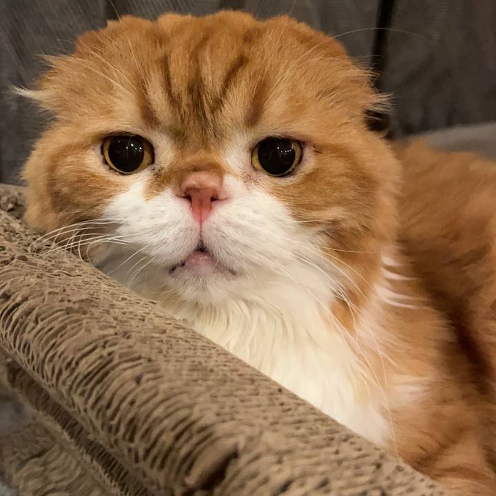 2a7be910 ecc4 4763 9e9b e692f6d67cff 1763449968285