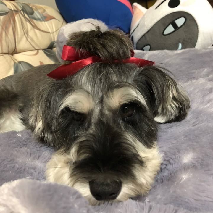 2a7bee57 0594 40b9 a643 9059e28ca045 1538038165349