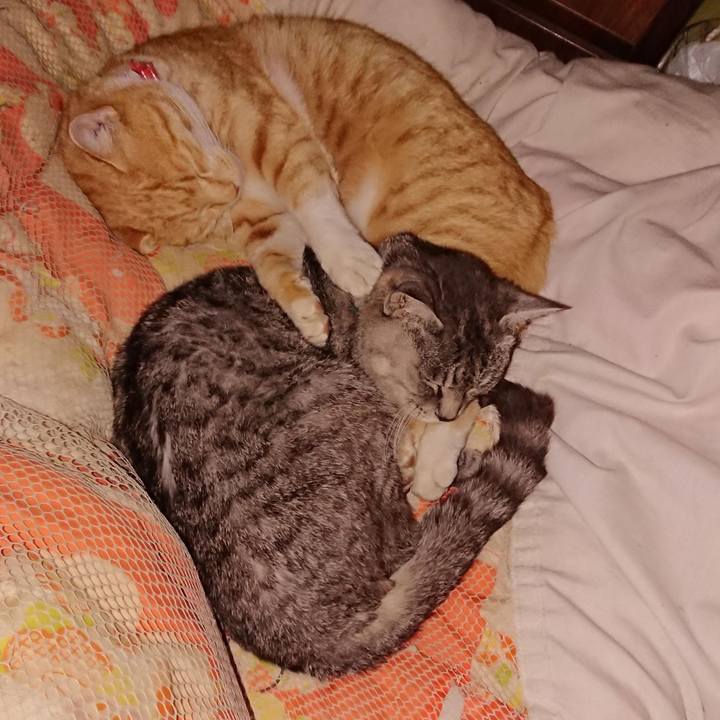 2a7bf8a0 dfca 4860 bb9f 505167d38383 1605700427685