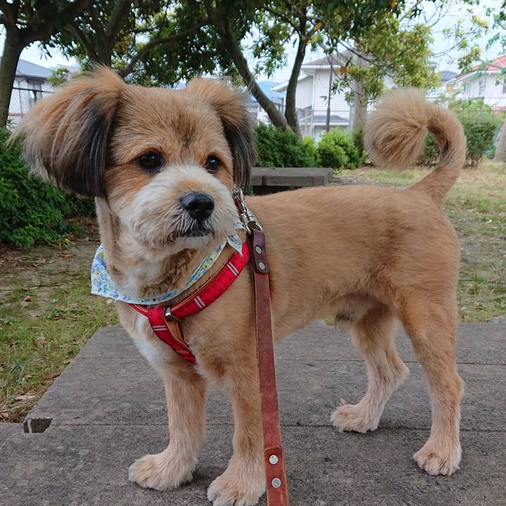 2a7c138a a47e 4d25 99de 234758601036 1559253345548