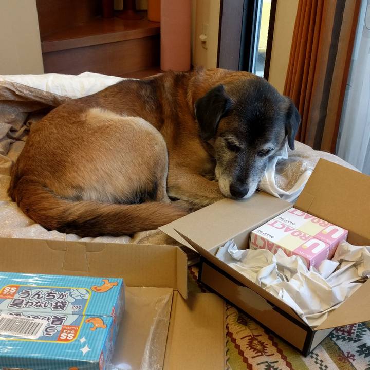 2a7c14d1 442a 439c 9bdf 04b7048a5934 1514626453578