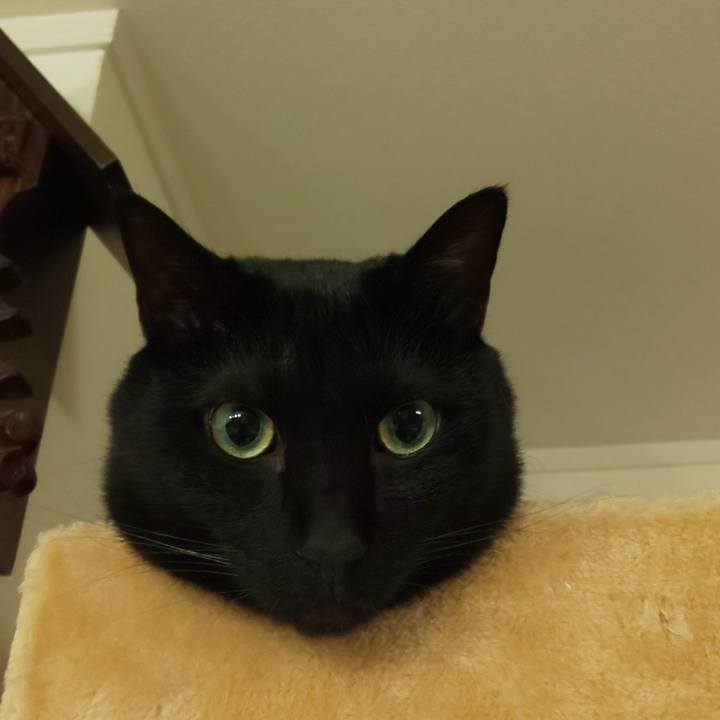 2a7c407d e5df 47ce ab7d 3ffbf2bf3c83 1624371321360