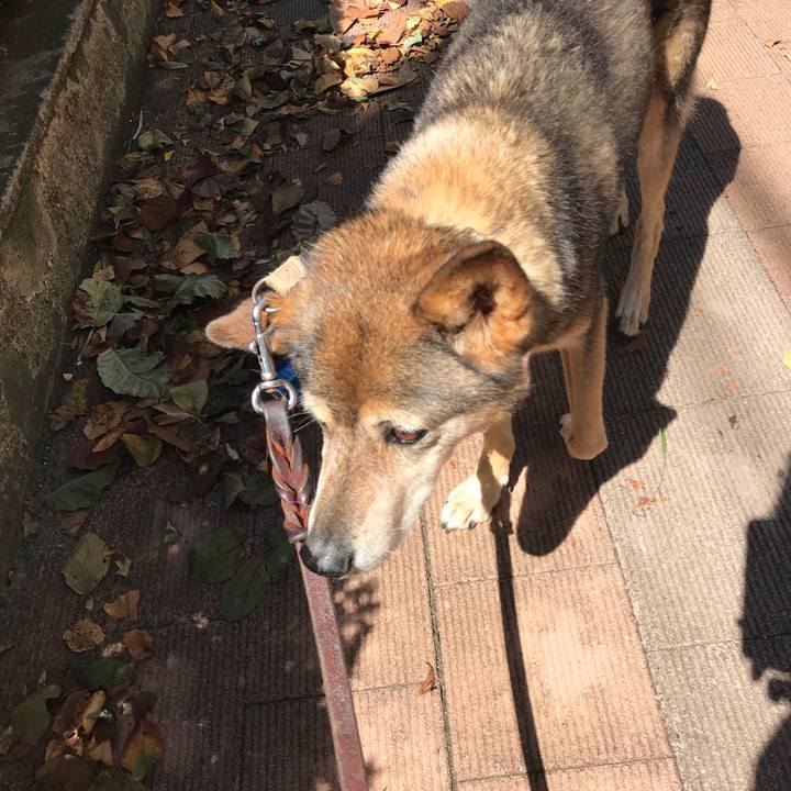 2a7c52a0 fee0 4f61 97dc 269ace0d2684 1534558887444