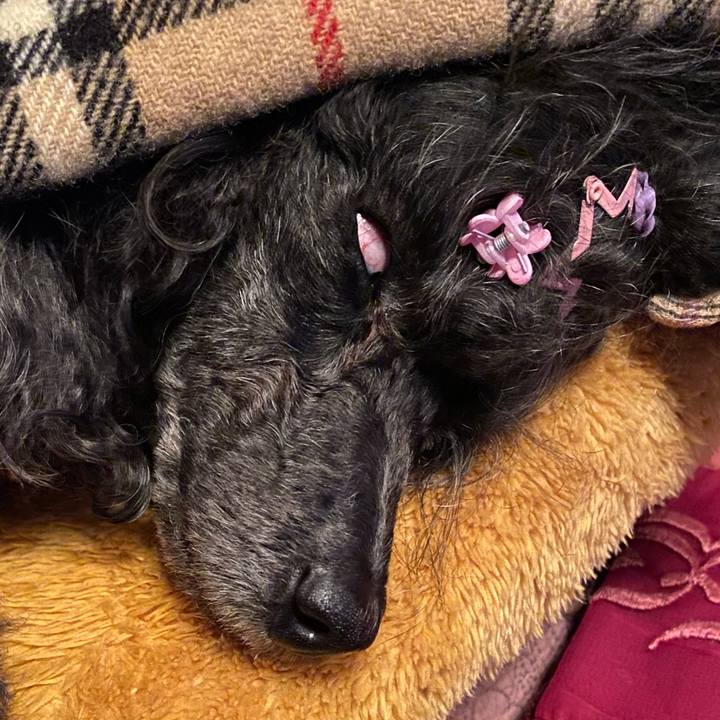 2a7c63be f028 46e0 bfce 999055660450 1671969480502