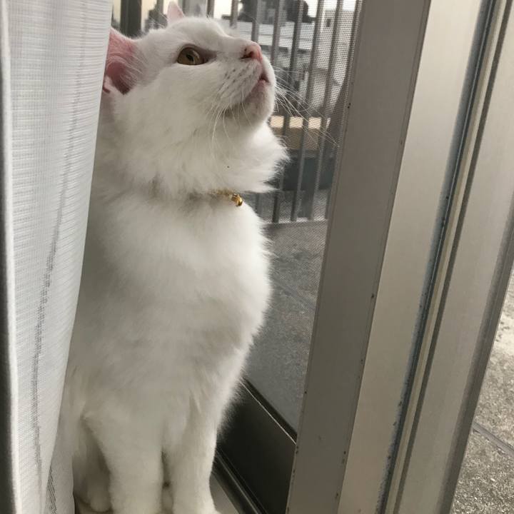 2a7c66cc 690c 48e6 80bc 78dd9e67adcb 1521155552155