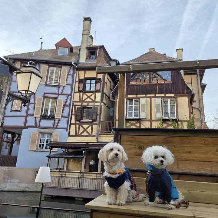 2a7c7ea6 ab63 4bbb a02e 9916e564ede9 1767285208979