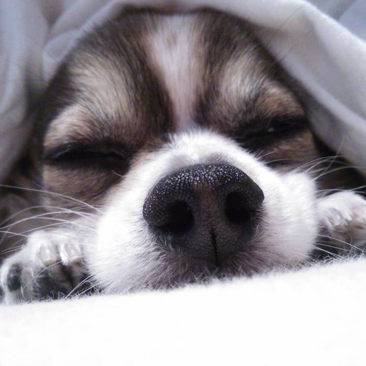 2a7c7ef1 47c6 40b5 b0da e78051899c20 1523544898423