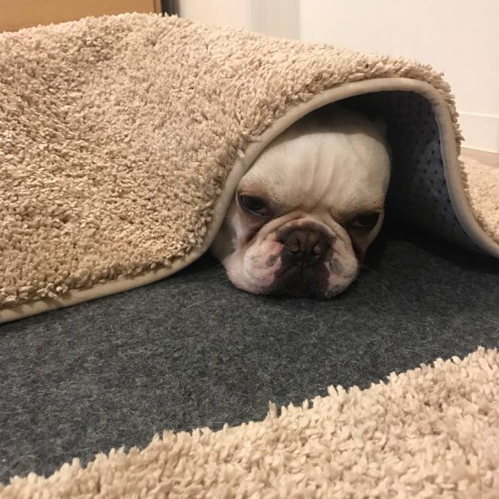 2a7caa54 7906 4a32 b309 44b28f3b80a1 1540702000871