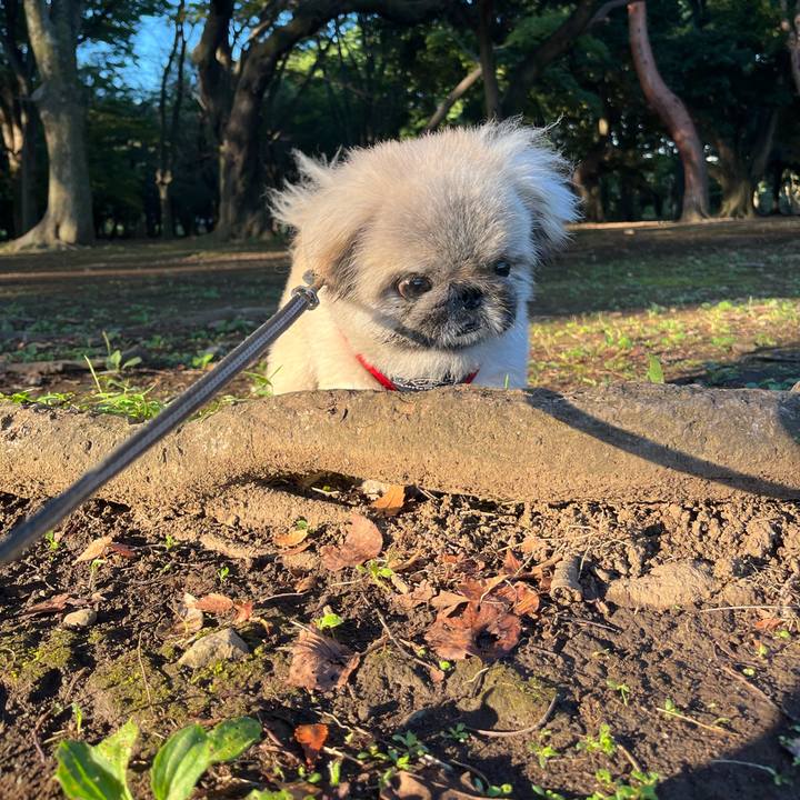 2a7cb514 e108 4798 8509 d0e025d17de2 1758751563118