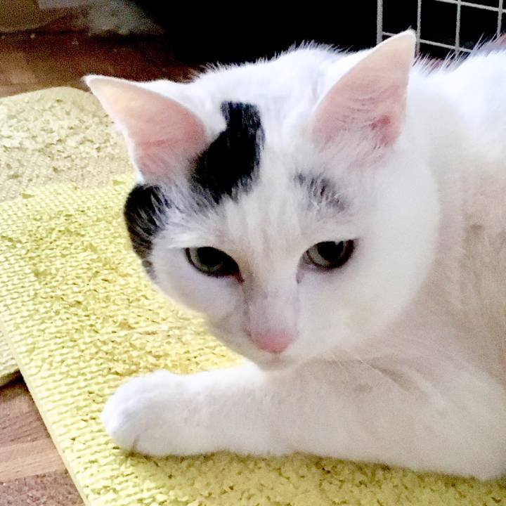 2a7cd116 4934 47eb 829c e26d893ac76d 1555192244074