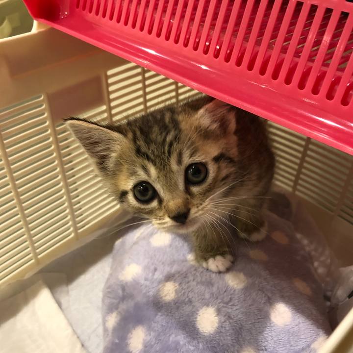 2a7d6de2 5b0a 4b6d 90fb c5e3be6c91d1 1602250101403