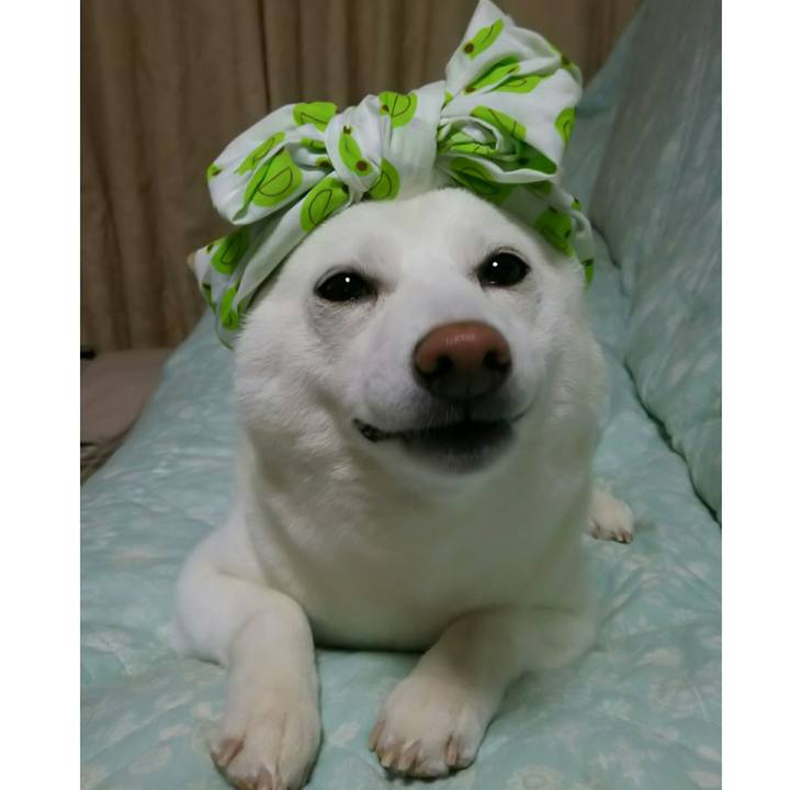 2a7d71d5 41d7 4bbc 8db2 e50003c2b6dc 1530363290999