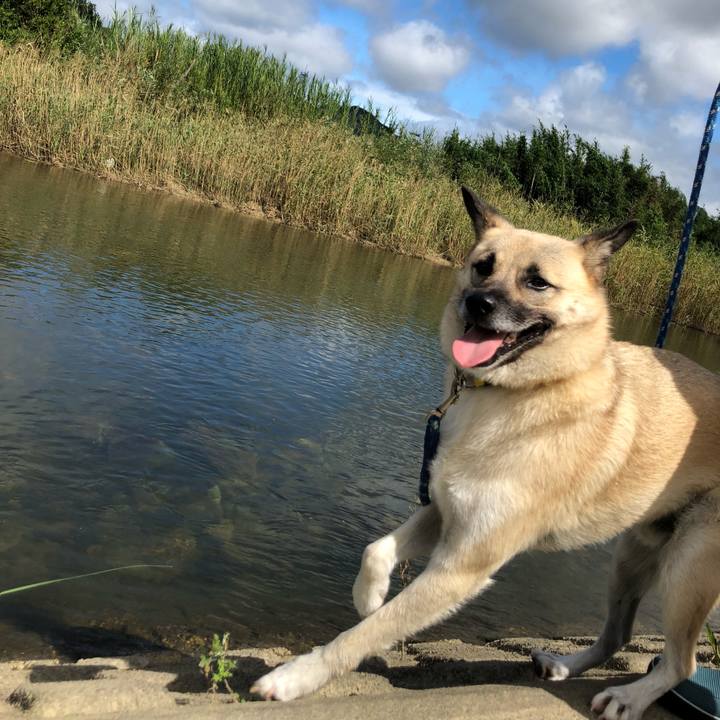 2a7dfcef 0c25 479a ba7e c9b0f75d6175 1569226142300