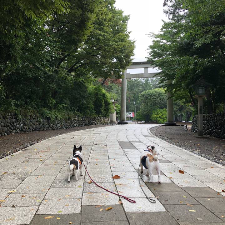 2a7e032c af8b 4eed b098 c9bf44ce300b 1535410061400