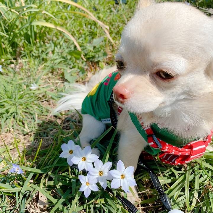 2a7e055b 78e6 4148 997e 3bfd02d4d7f4 1615379710733