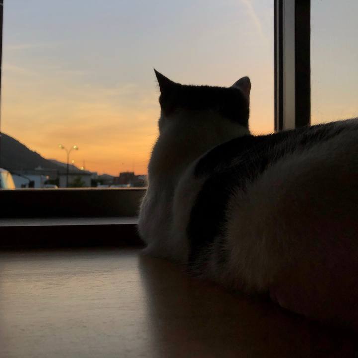 2a7e278d 3a83 4860 b373 57636948d7d3 1597351443962