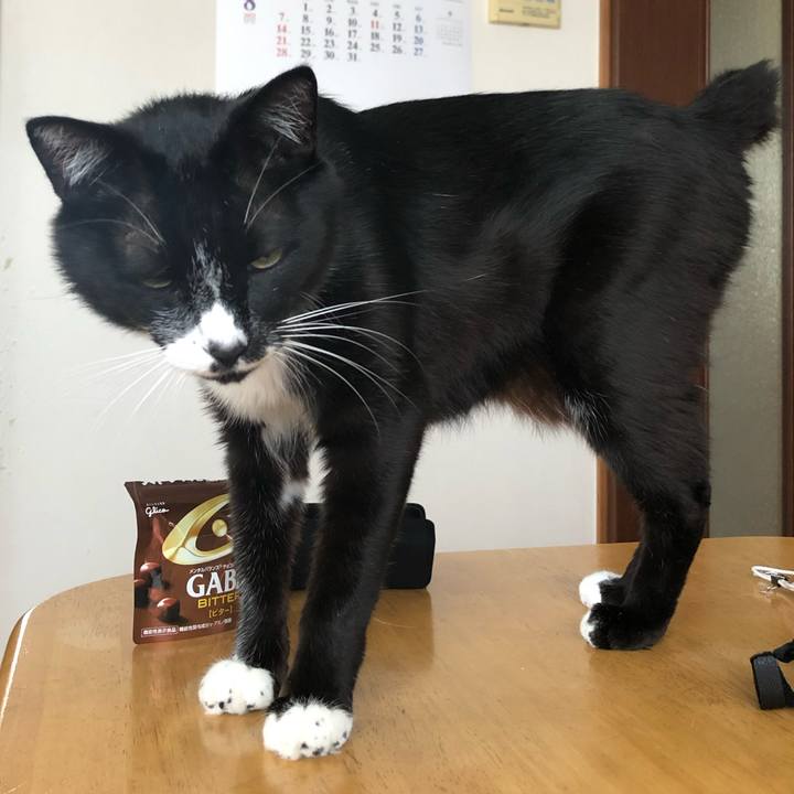 2a7e4b7a 0036 4381 b4b2 ce687adf3625 1664941330851