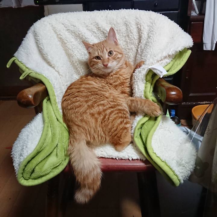 2a7e68eb 984e 40b6 a325 2c19b6758193 1639131764878