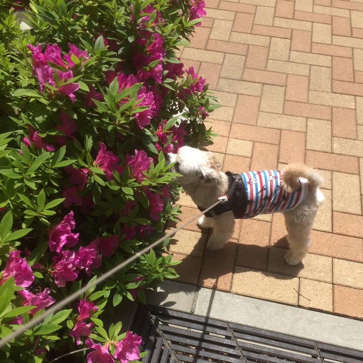 2a7e6aff 2c70 4eec 9511 cd3472a666ae 1557035240386