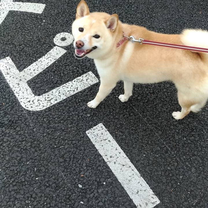 2a7e8923 1924 4230 b2e9 cc5357797439 1600727724169