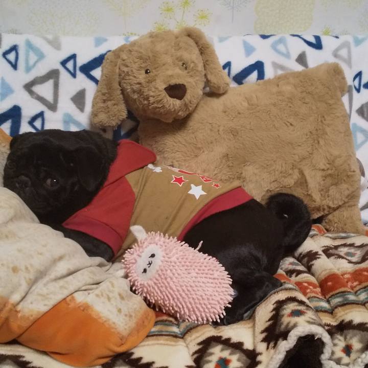 2a7ea1d7 e09e 4725 a673 2753ed25b4fa 1576680910427