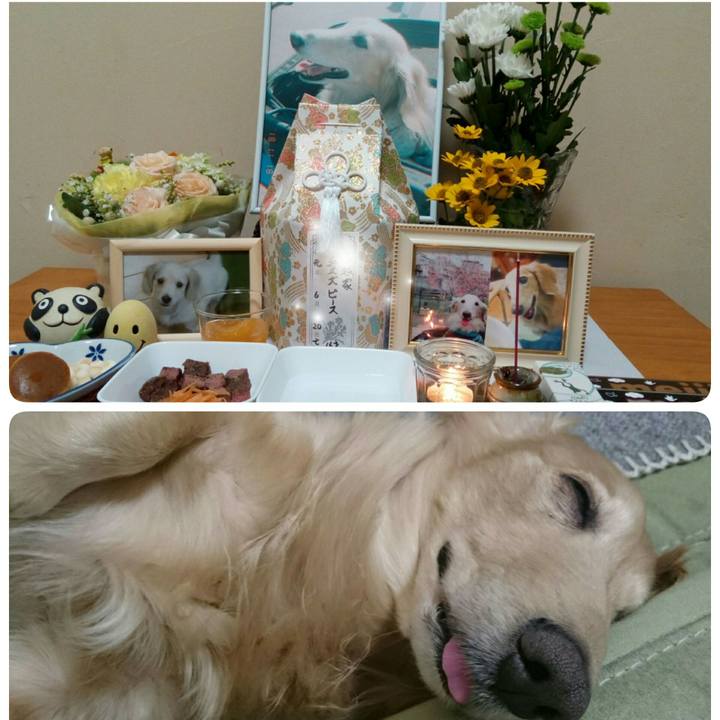 2a7ee00a f512 4553 86ee ad8c01a47d1b 1563621883560