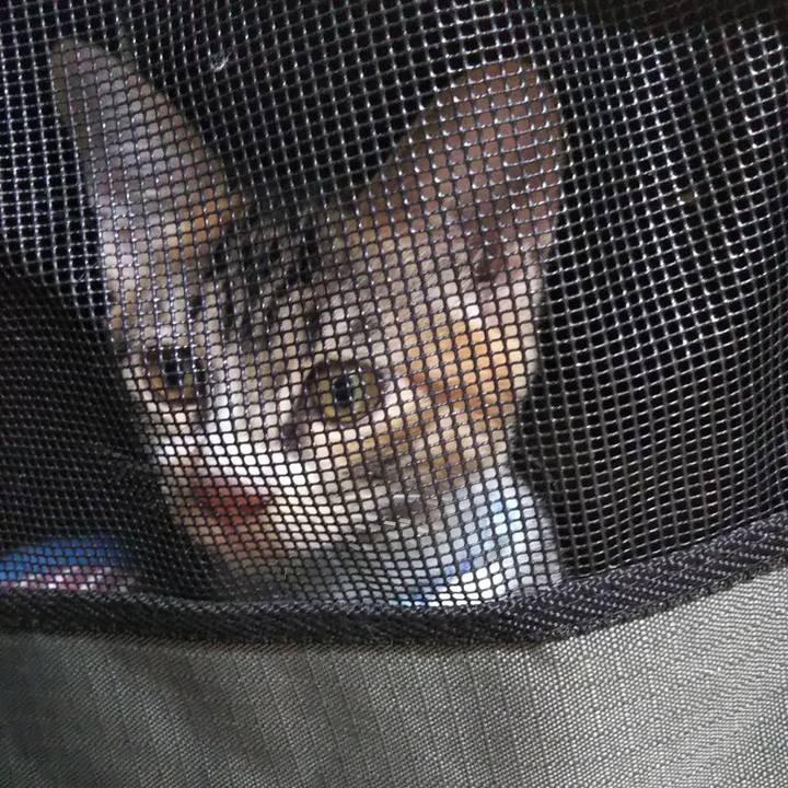 2a7f20fd 6838 4377 9cef 9d4849e2a377 1628366518781