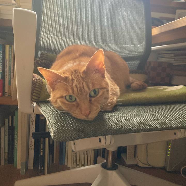 2a7fb274 1a6d 4fb1 8399 30c3697cd67e 1714174064501